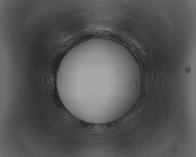 X0000094791013200711160911