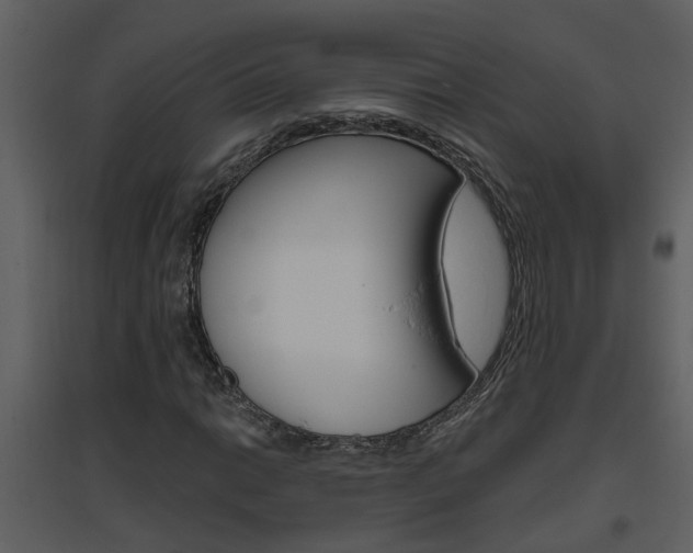 X0000094791014200711160911