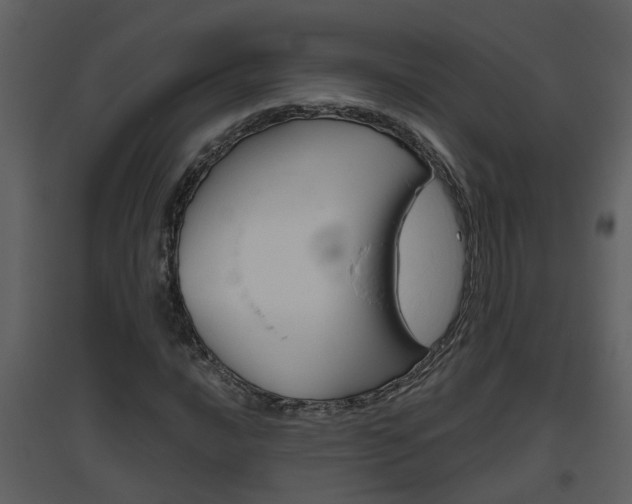 X0000094791016200711160911