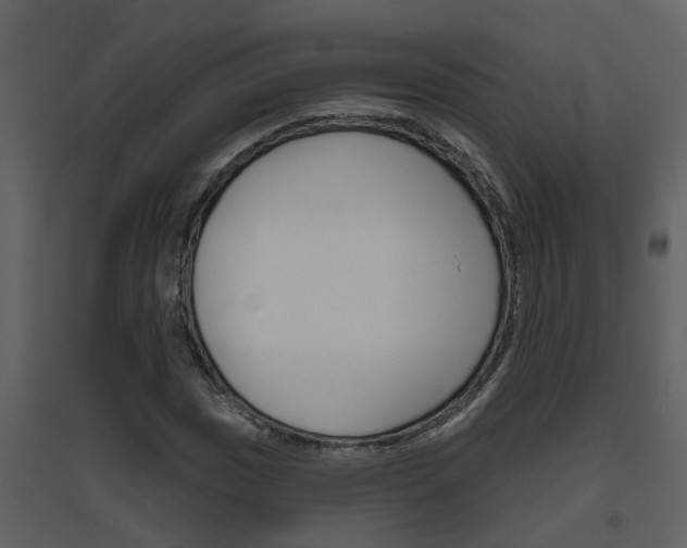 X0000094791017200711160911
