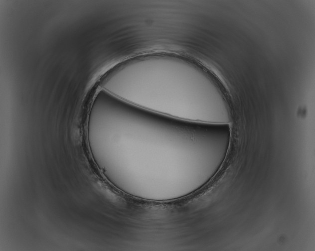 X0000094791018200711160912
