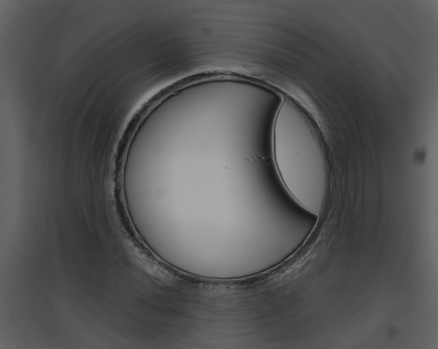 X0000094791020200711160912