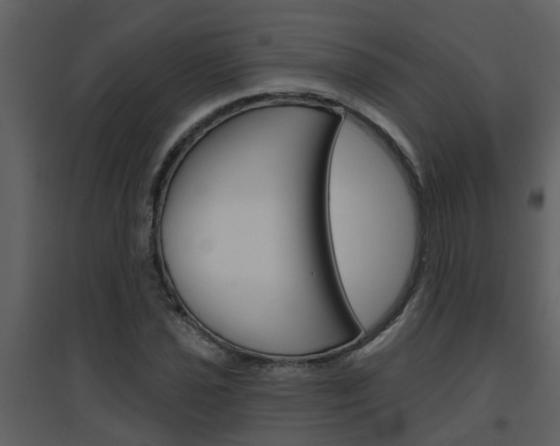 X0000094791021200711160912