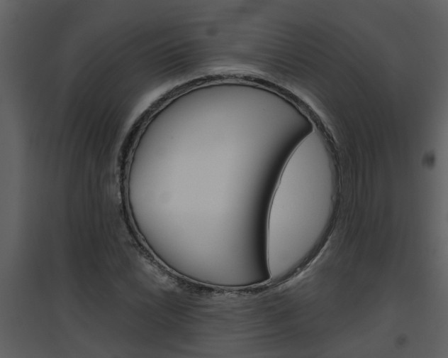 X0000094791022200711160912