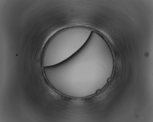 X0000094791023200711160912