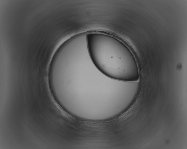 X0000094791024200711160912