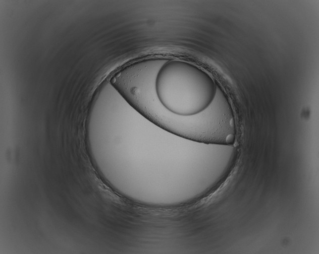 X0000094791025200711160912