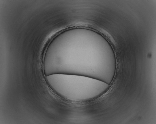 X0000094791027200711160912