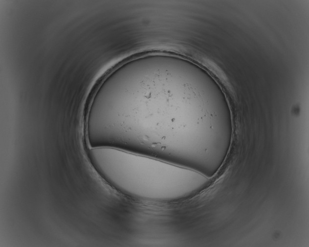 X0000094791028200711160912