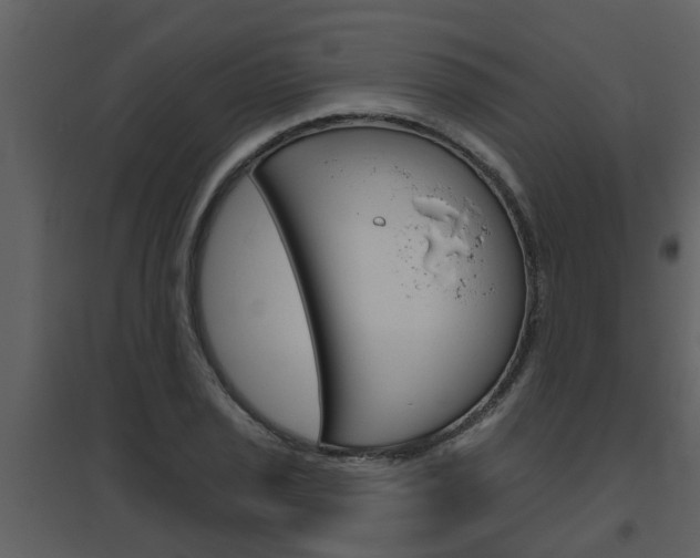 X0000094791029200711160912