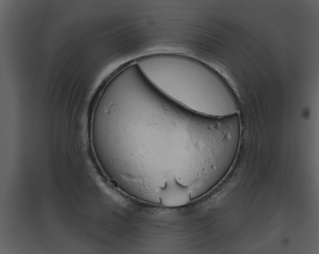 X0000094791030200711160912