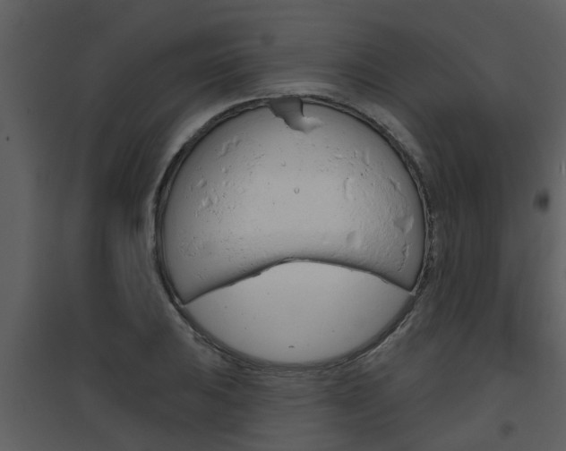 X0000094791031200711160912