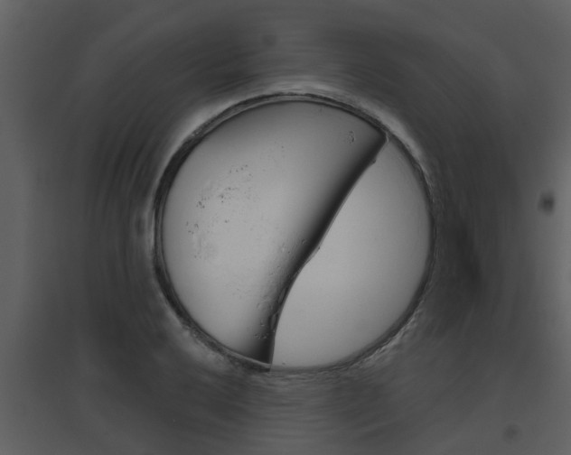 X0000094791032200711160912