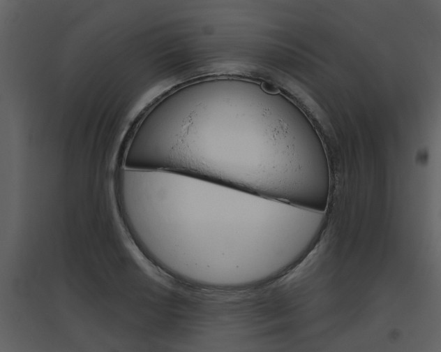 X0000094791034200711160912