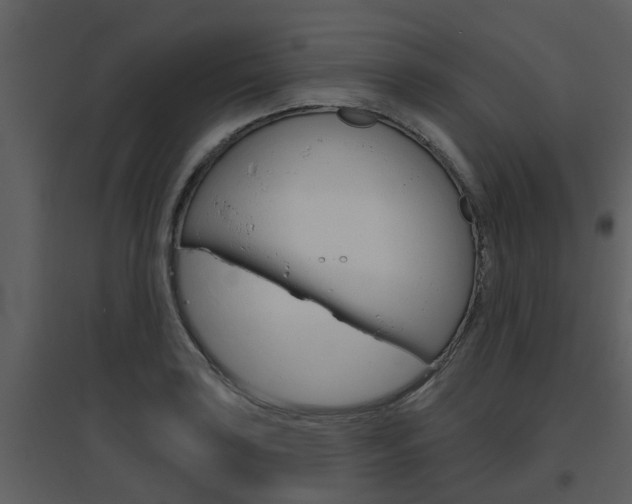 X0000094791035200711160912