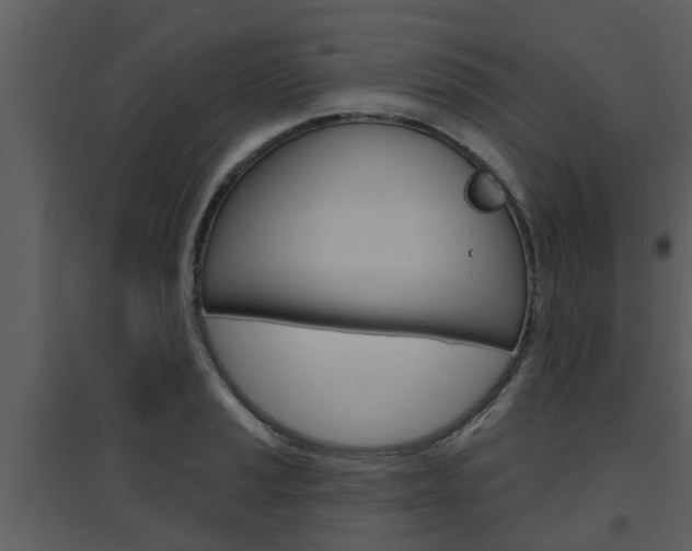 X0000094791037200711160912
