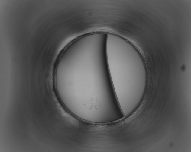 X0000094791038200711160912