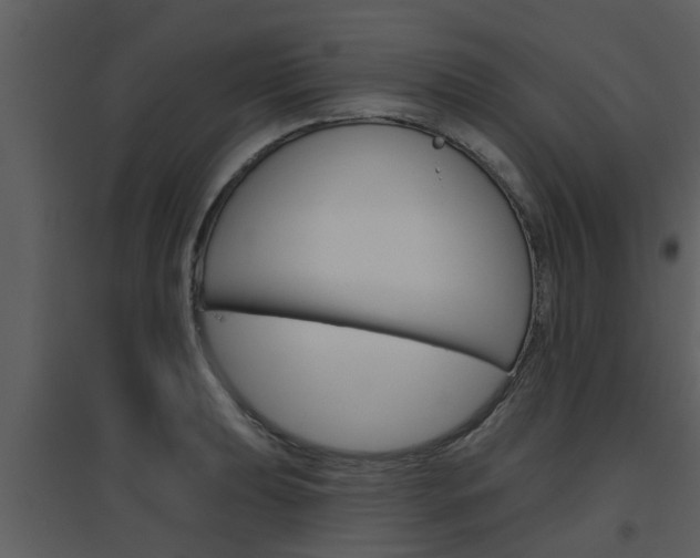 X0000094791039200711160912