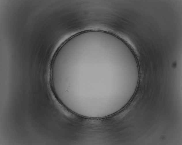X0000094791040200711160912