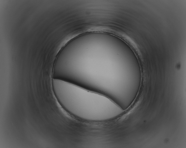 X0000094791041200711160912