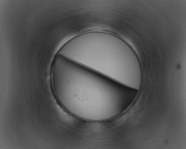 X0000094791042200711160912