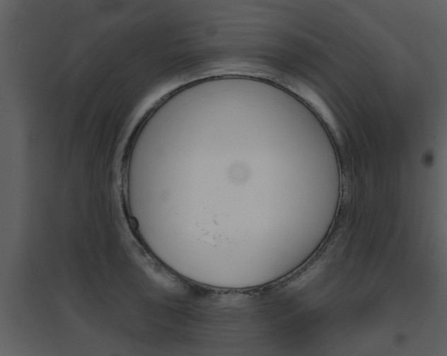 X0000094791043200711160912