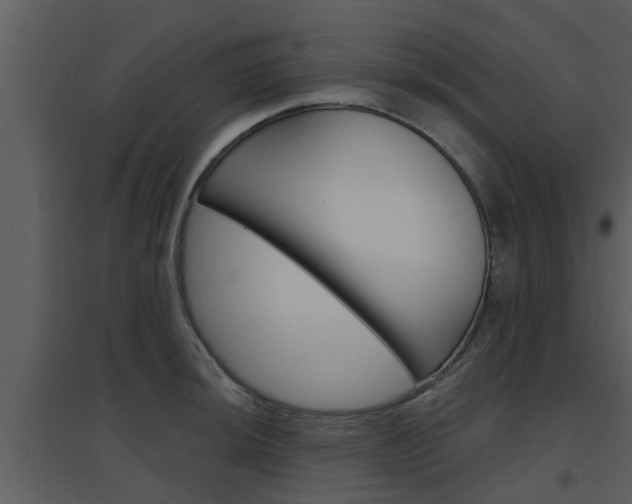 X0000094791044200711160912