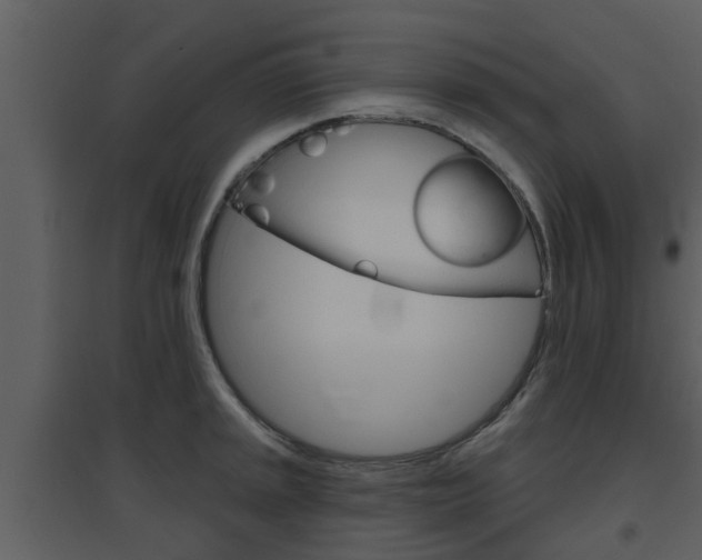 X0000094791045200711160912