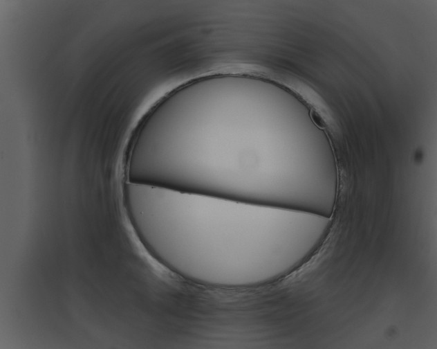 X0000094791046200711160912