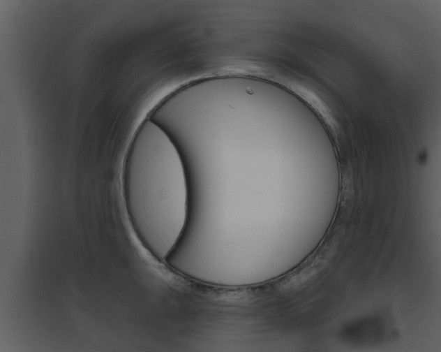 X0000094791047200711160912