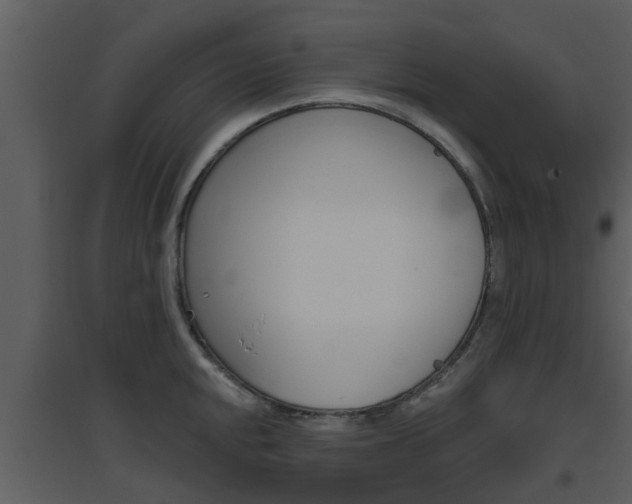 X0000094791048200711160912