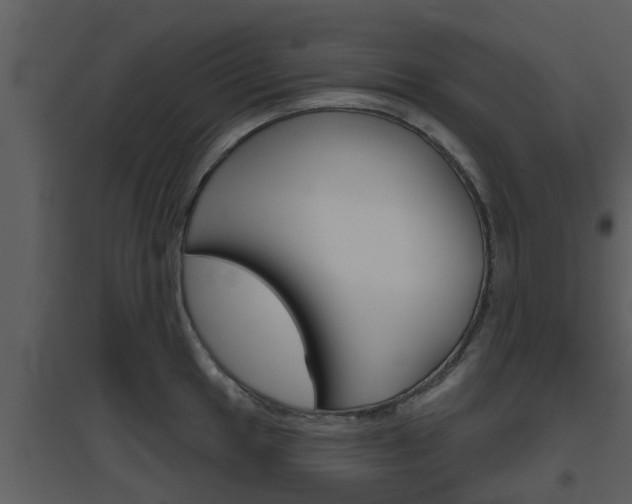 X0000094791049200711160912