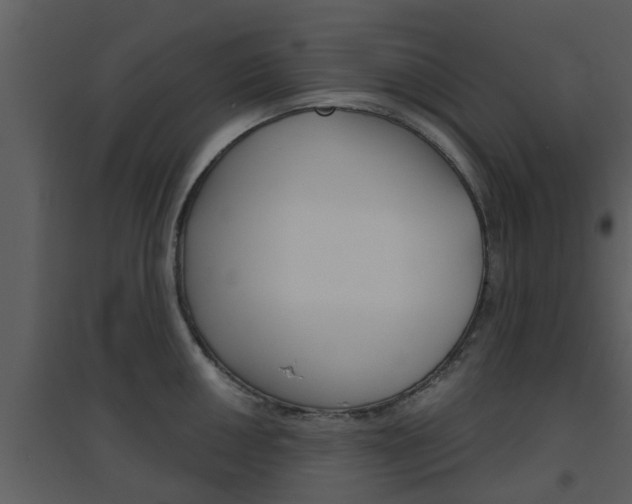X0000094791050200711160912