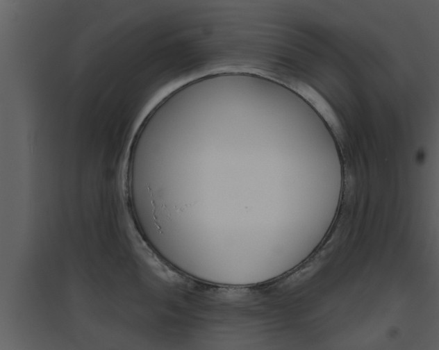 X0000094791052200711160912