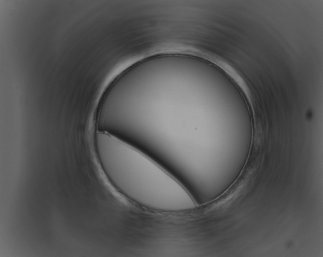 X0000094791053200711160912