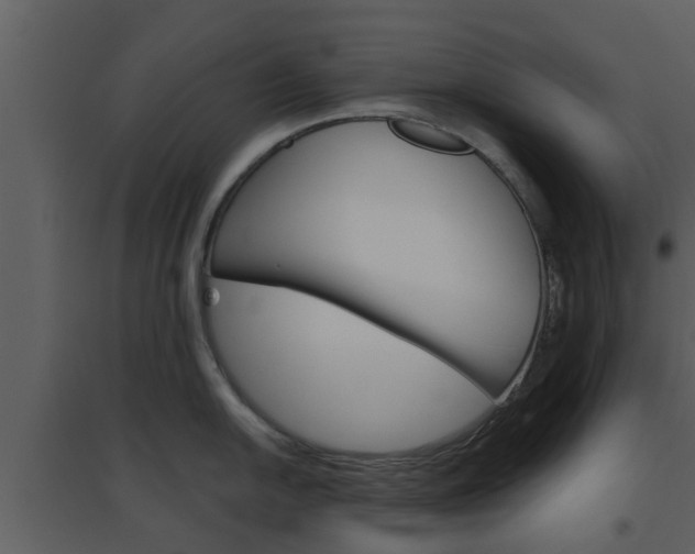 X0000094791054200711160912