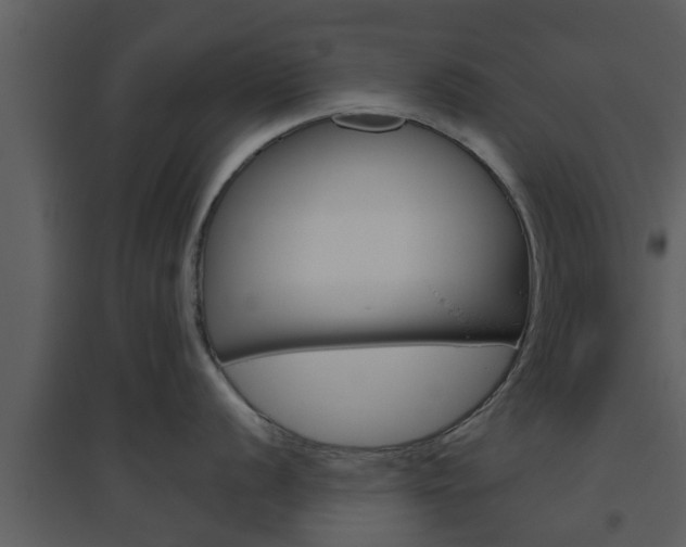 X0000094791056200711160912