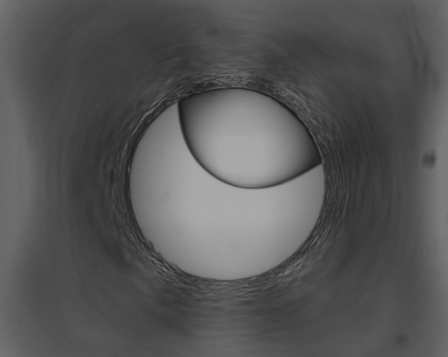 X0000094791057200711160911