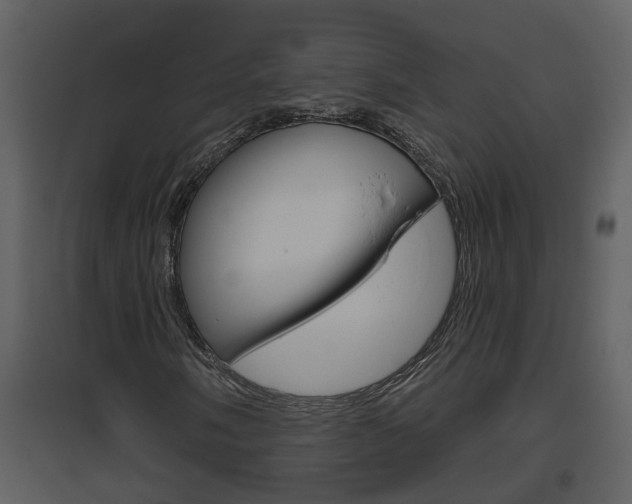 X0000094791058200711160911