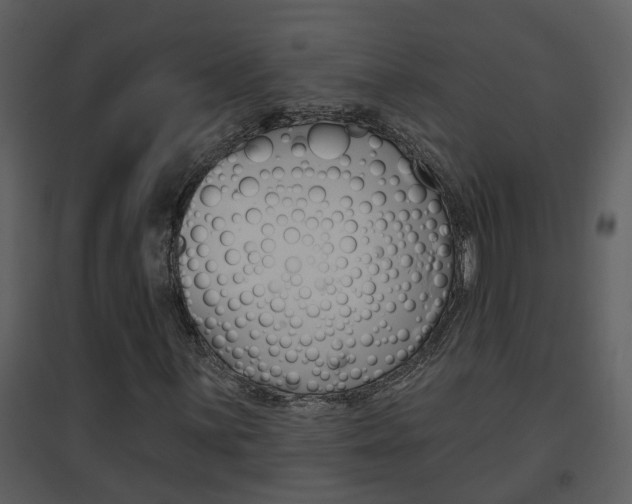 X0000094791059200711160911