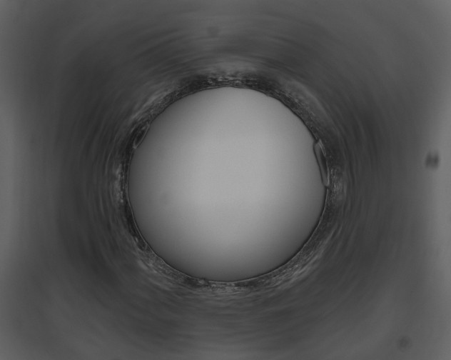 X0000094791060200711160911