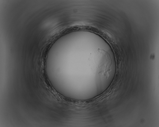 X0000094791062200711160911
