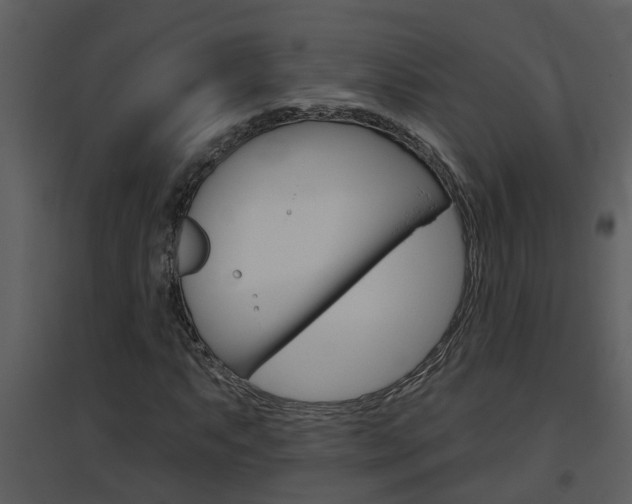 X0000094791063200711160911