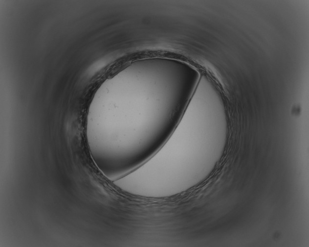 X0000094791064200711160911