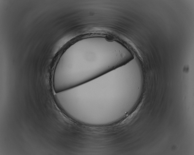 X0000094791066200711160911