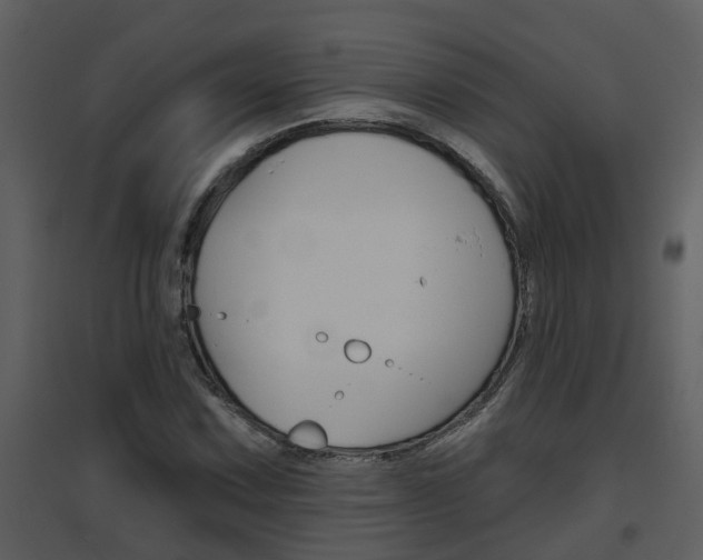 X0000094791067200711160911