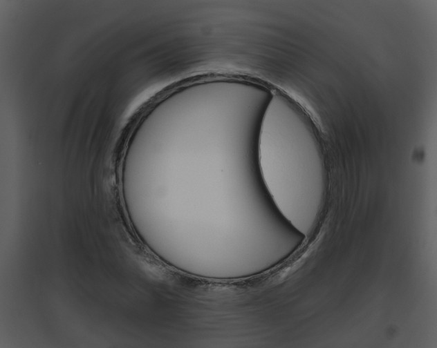 X0000094791070200711160911