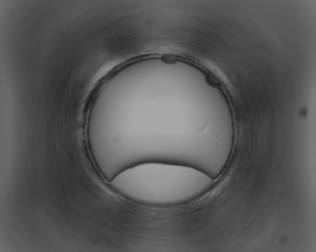 X0000094791071200711160911