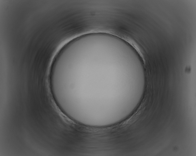 X0000094791072200711160911