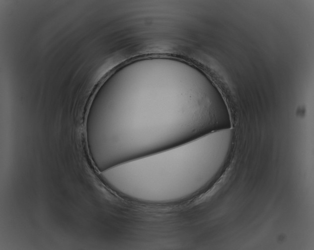 X0000094791073200711160911
